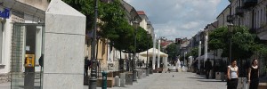 Stary Rynek w Płocku