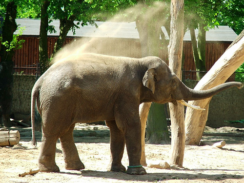 zoo płock